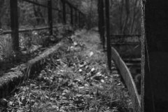 NaturePark_2